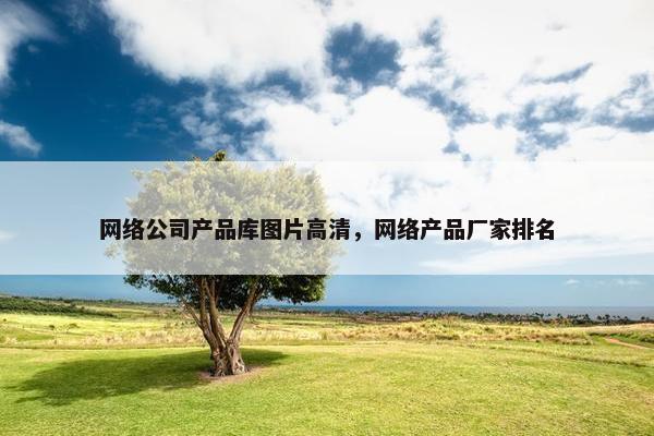 网络公司产品库图片高清，网络产品厂家排名