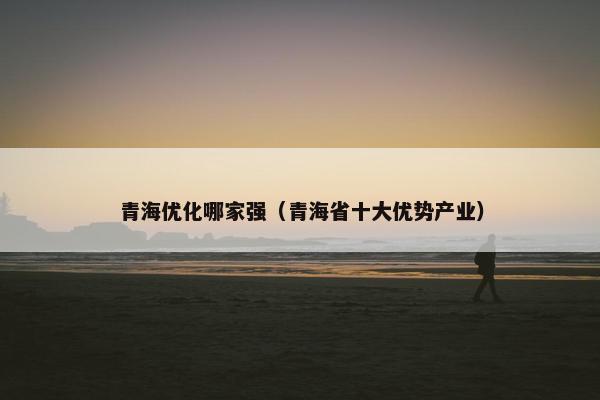 青海优化哪家强（青海省十大优势产业）