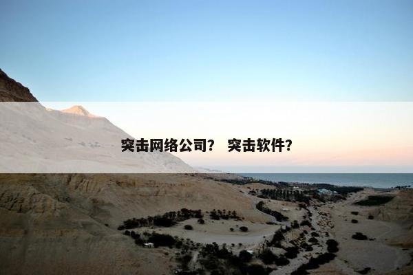 突击网络公司？ 突击软件？
