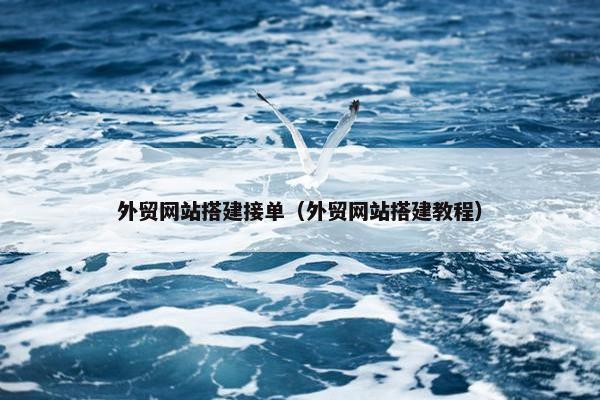 外贸网站搭建接单（外贸网站搭建教程）