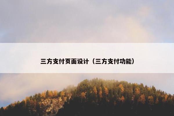 三方支付页面设计（三方支付功能）