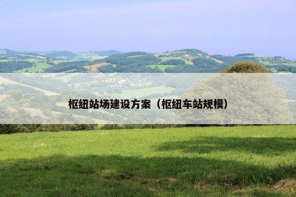枢纽站场建设方案（枢纽车站规模）