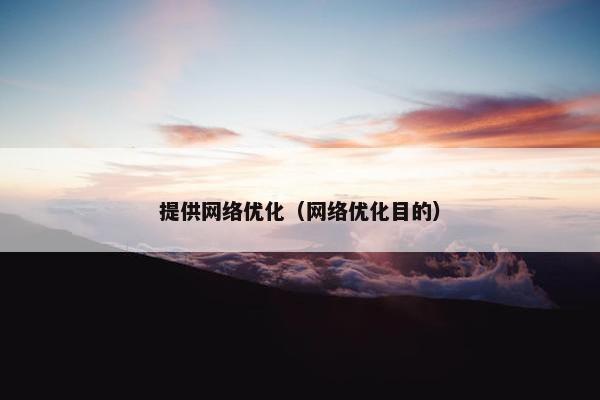 提供网络优化（网络优化目的）