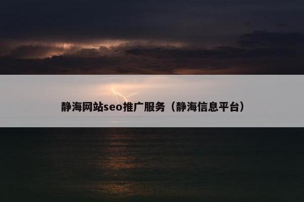 静海网站seo推广服务（静海信息平台）