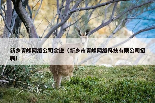 新乡青峰网络公司余进（新乡市青峰网络科技有限公司招聘）