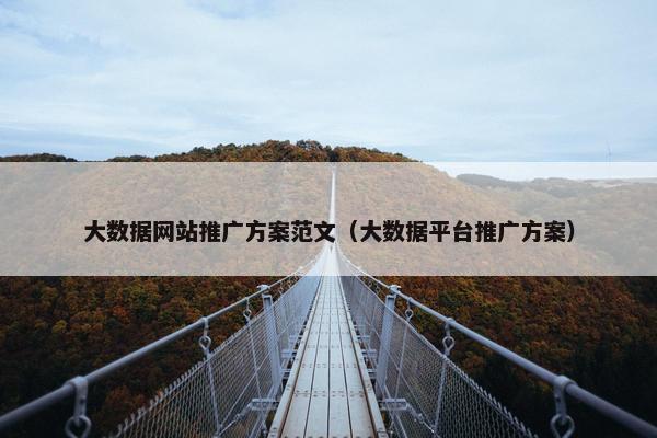 大数据网站推广方案范文（大数据平台推广方案）