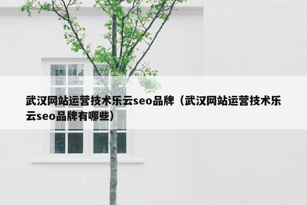 武汉网站运营技术乐云seo品牌（武汉网站运营技术乐云seo品牌有哪些）