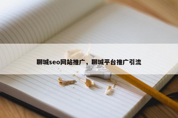 聊城seo网站推广，聊城平台推广引流