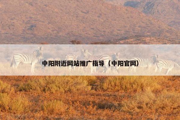 中阳附近网站推广指导（中阳官网）