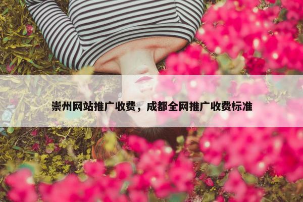 崇州网站推广收费，成都全网推广收费标准