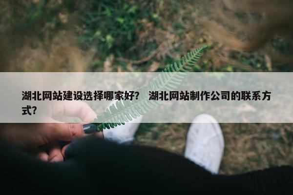 湖北网站建设选择哪家好？ 湖北网站制作公司的联系方式？