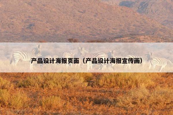 产品设计海报页面（产品设计海报宣传画）