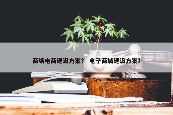 商场电商建设方案？ 电子商城建设方案？