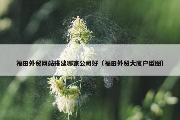 福田外贸网站搭建哪家公司好（福田外贸大厦户型图）