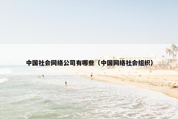 中国社会网络公司有哪些（中国网络社会组织）