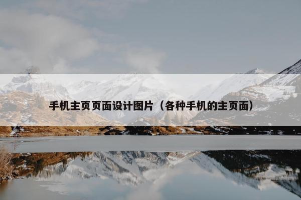 手机主页页面设计图片（各种手机的主页面）