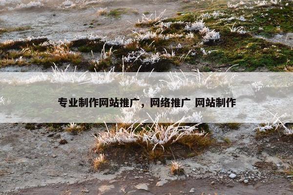 专业制作网站推广，网络推广 网站制作