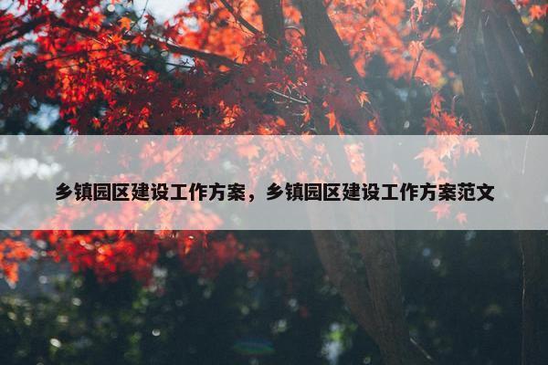 乡镇园区建设工作方案，乡镇园区建设工作方案范文