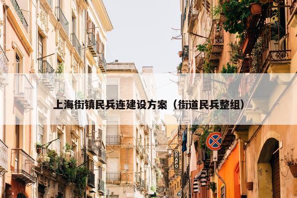 上海街镇民兵连建设方案（街道民兵整组）