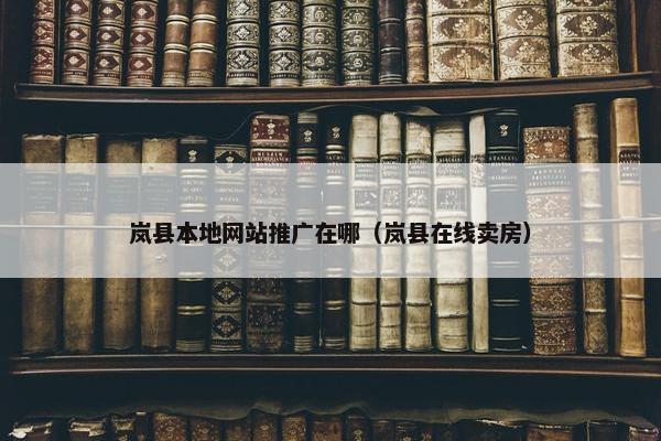 岚县本地网站推广在哪（岚县在线卖房）