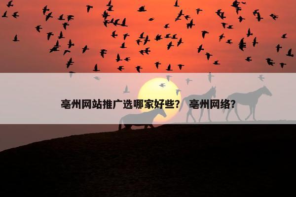 亳州网站推广选哪家好些？ 亳州网络？
