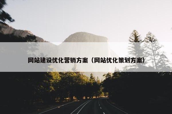 网站建设优化营销方案（网站优化策划方案）