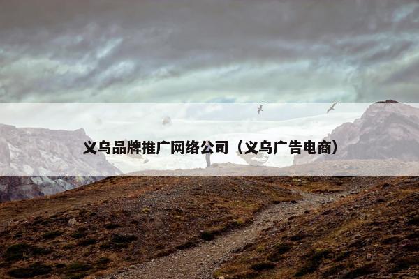 义乌品牌推广网络公司（义乌广告电商）