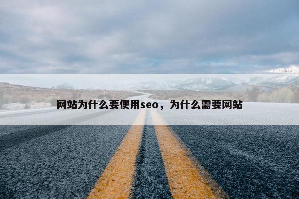 网站为什么要使用seo，为什么需要网站