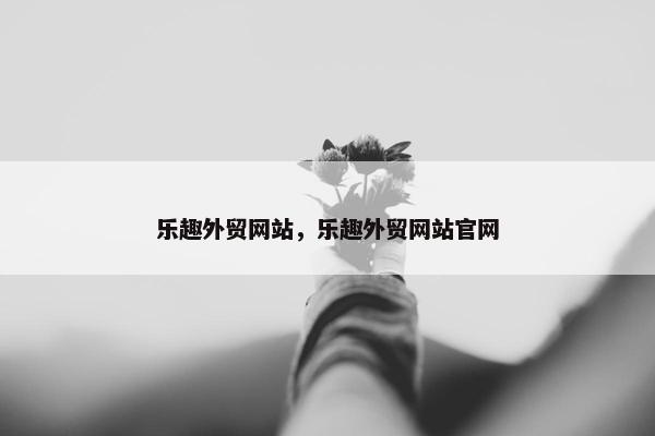 乐趣外贸网站，乐趣外贸网站官网