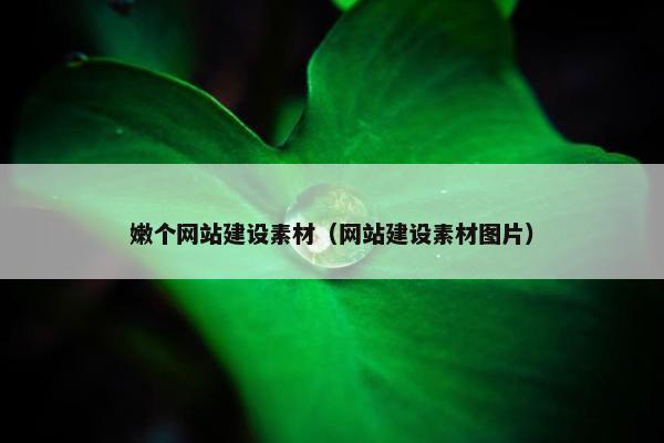 嫩个网站建设素材（网站建设素材图片）