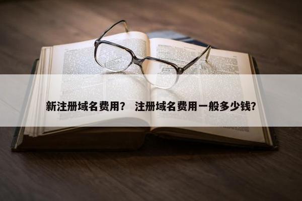 新注册域名费用？ 注册域名费用一般多少钱？