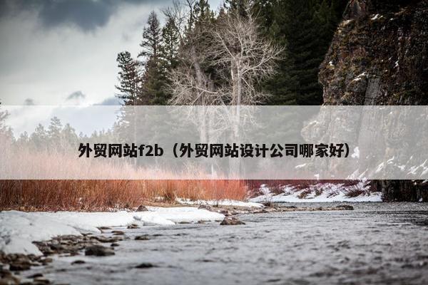 外贸网站f2b（外贸网站设计公司哪家好）