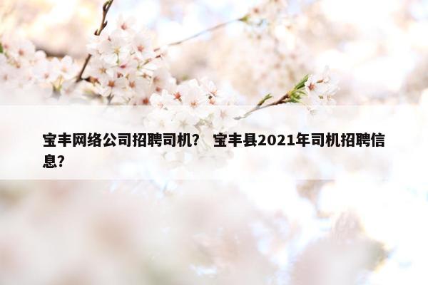 宝丰网络公司招聘司机？ 宝丰县2021年司机招聘信息？