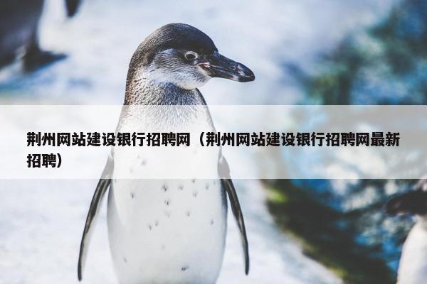 荆州网站建设银行招聘网（荆州网站建设银行招聘网最新招聘）