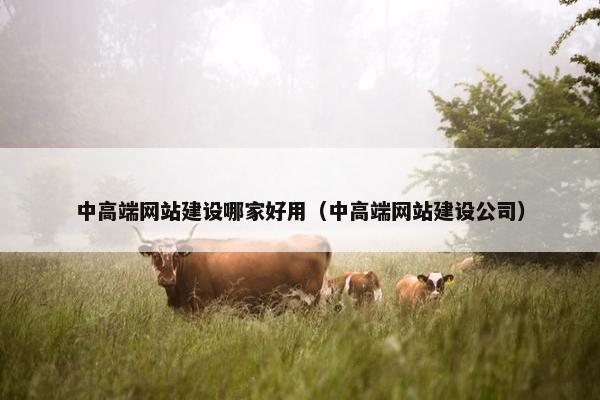 中高端网站建设哪家好用（中高端网站建设公司）
