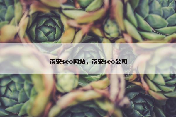 南安seo网站，南安seo公司