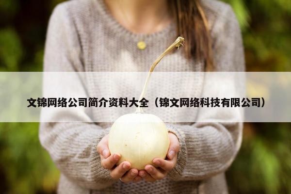 文锦网络公司简介资料大全（锦文网络科技有限公司）