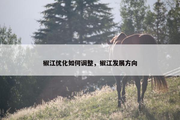 椒江优化如何调整，椒江发展方向
