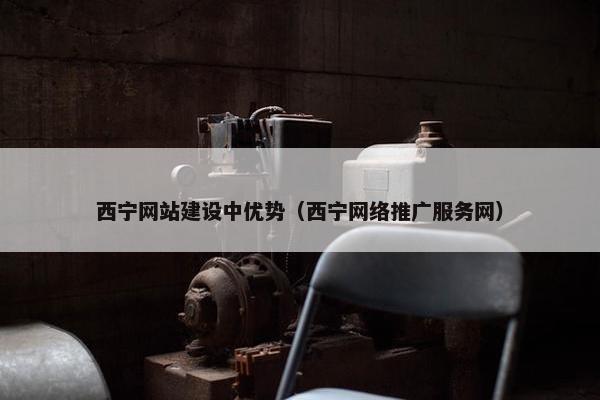 西宁网站建设中优势（西宁网络推广服务网）