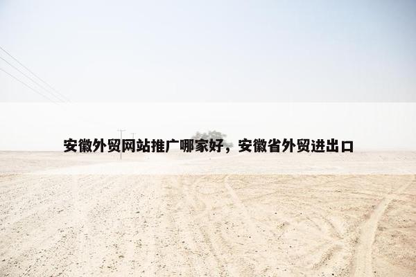 安徽外贸网站推广哪家好，安徽省外贸进出口
