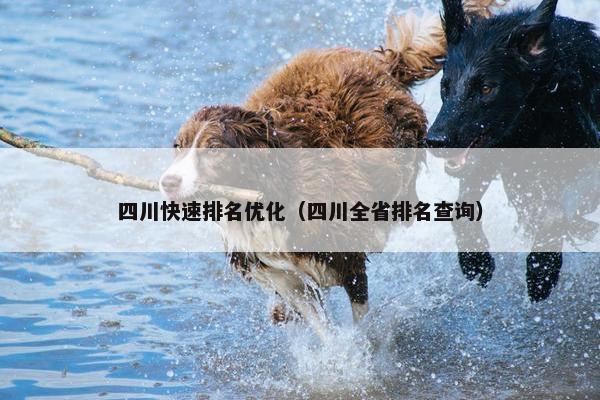 四川快速排名优化（四川全省排名查询）