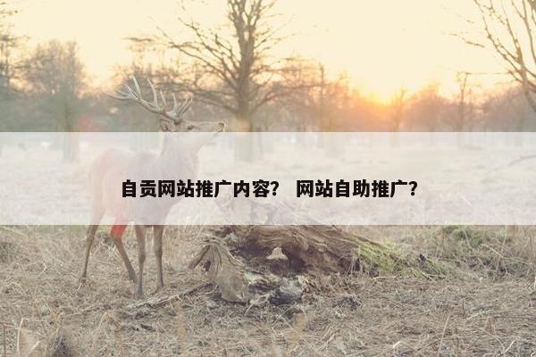 自贡网站推广内容？ 网站自助推广？