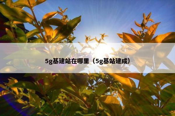 5g基建站在哪里（5g基站建成）