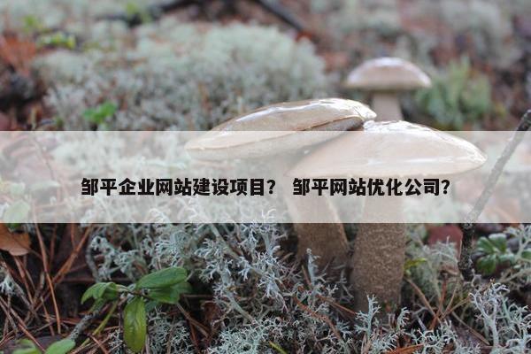 邹平企业网站建设项目？ 邹平网站优化公司？