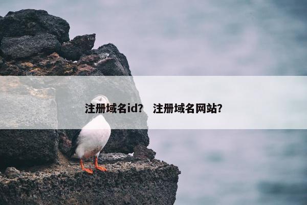 注册域名id？ 注册域名网站？
