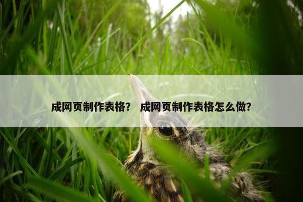 成网页制作表格？ 成网页制作表格怎么做？
