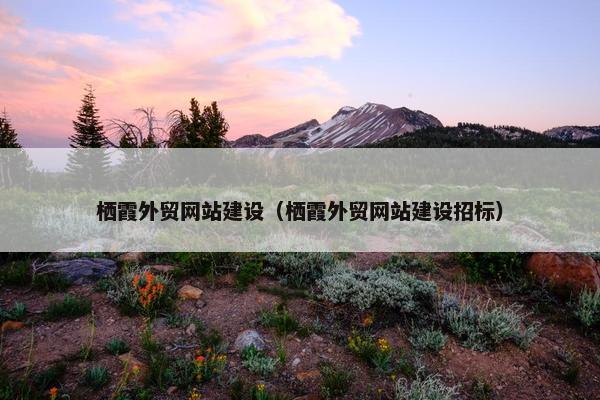栖霞外贸网站建设（栖霞外贸网站建设招标）