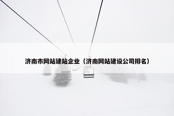 济南市网站建站企业（济南网站建设公司排名）