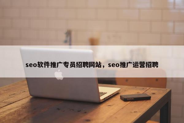 seo软件推广专员招聘网站，seo推广运营招聘