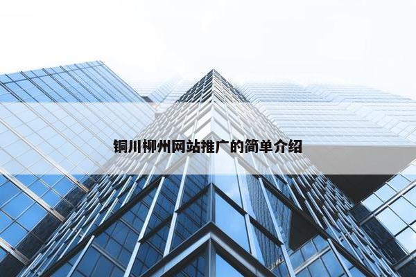 铜川柳州网站推广的简单介绍